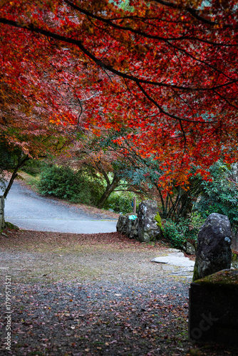 紅葉の高源寺