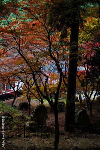 紅葉の高源寺