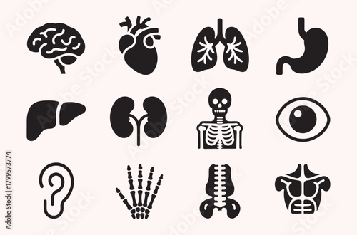 Human organ icon set