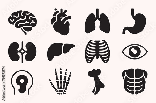 Human organ icon set