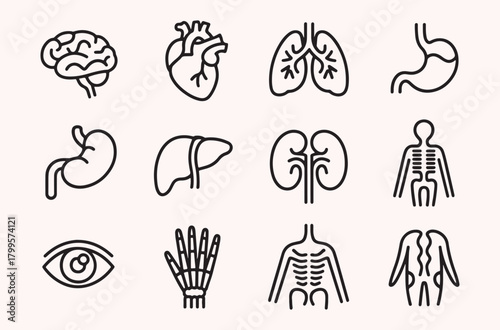 Human organ icon set