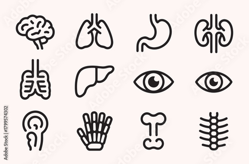 Human organ icon set