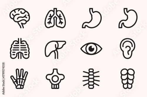 Human organ icon set