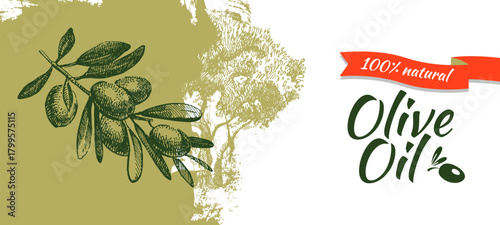 Vintage sketch olive oil banner. Extra virgin, farm product, Mediterranean cuisine, cosmetic, organic farm, packaging label, bottle sticker, menu header. Engraved hand drawn vector illustration.
