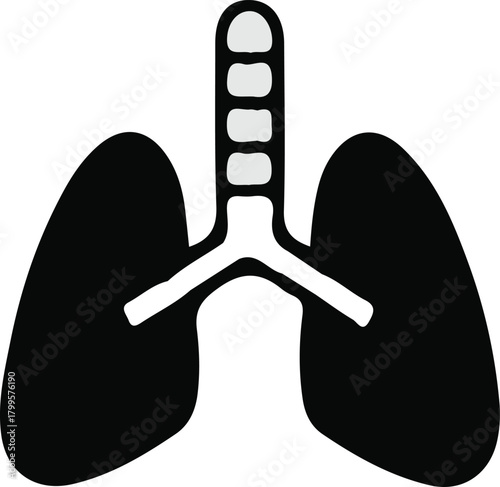 Medical Lungs Anatomy Human Respiratory System Health Care Pulmonary Organ Biology Bronchial Tree Trachea Illustration Diagnostic Bronchioles Breathing Lung