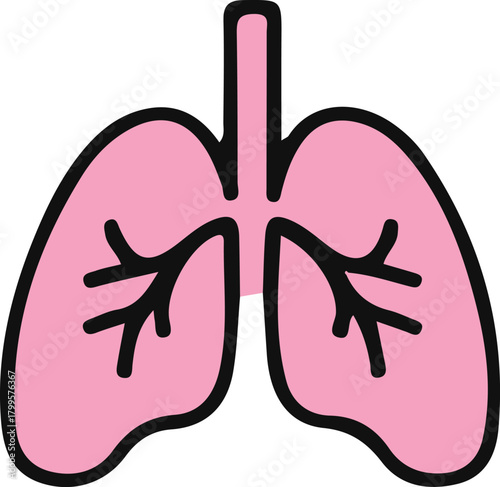 Medical Lungs Anatomy Human Respiratory System Health Care Pulmonary Organ Biology Bronchial Tree Trachea Illustration Diagnostic Bronchioles Breathing Lung