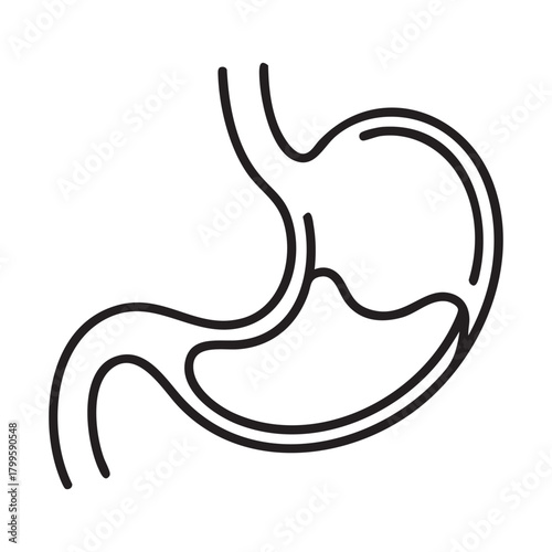 Black outline drawing of a human stomach with internal fluid anatomy digestive system
