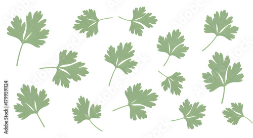 Vibrant green parsley leaves scattered naturally on a crisp white background, perfect for culinary designs, healthy food concepts, and fresh botanical illustrations