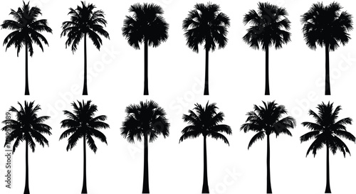 Palm tree silhouettes, tropical foliage, black vector, frond variations, exotic landscape, botanical icons, beach trees, nature design set