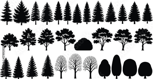 Tree silhouettes, coniferous and deciduous, bush shape, black vector, forest elements, seasonal trees, nature icons, botanical illustration