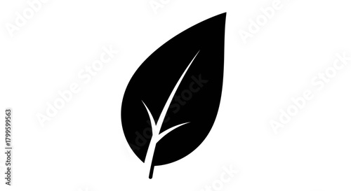 Simple elegant black leaf symbol representing nature growth and organic concepts in a clean design