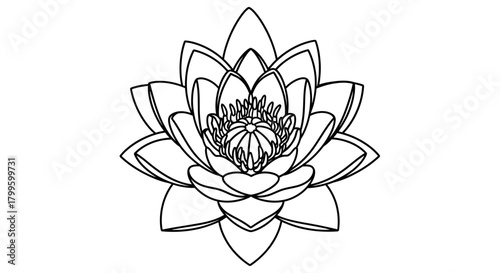 Elegant lotus flower line art illustration symbolizing purity peace and enlightenment for serene designs and mindful projects