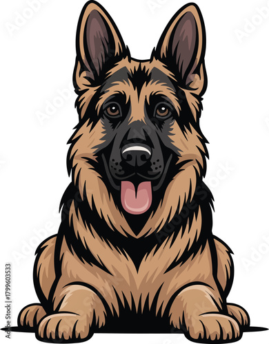Cute cartoon a illustrator vector German shepherd