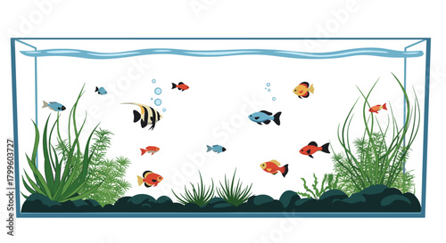 Vibrant aquarium with diverse fish and lush plants creating a calming underwater world, perfect for pet store displays and educational resources