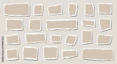 A collection of torn paper pieces on a neutral background.