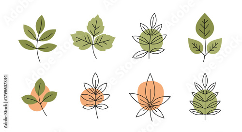 A collection of stylized green leaves and abstract organic shapes for natural design elements.