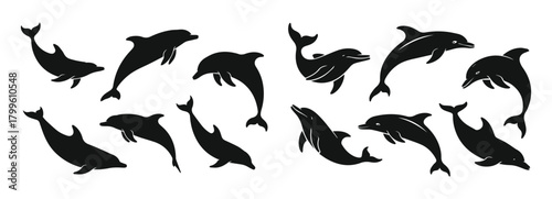 Dolphin silhouette vector set of icons