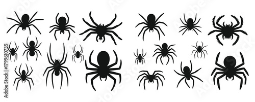 Spider silhouette vector set of icons