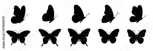 Flying Butterflies Black Silhouette Vector Set Isolated on White Background