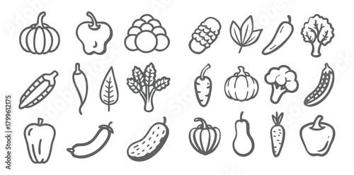 Vegetable Icons Set | Minimal Black Line Food Vector | Organic Veggies Outline Pack