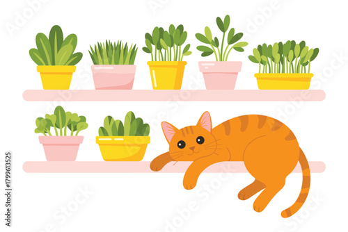 Cute orange cat lounging near potted plants on shelves