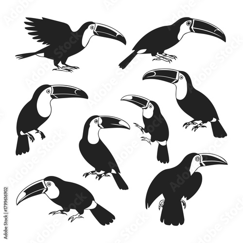 Toucan bird silhouette vector collection