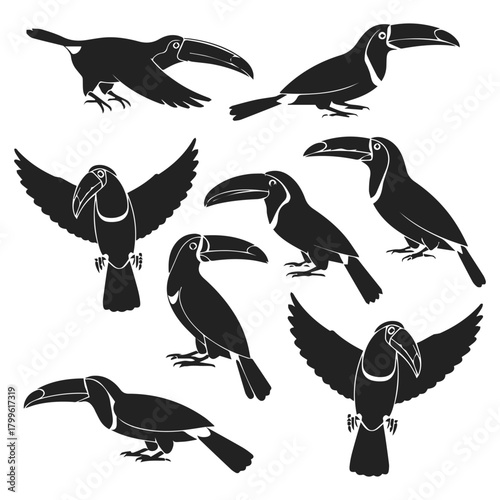 Toucan bird silhouette vector collection