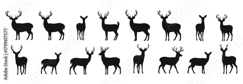 Deer and reindeer silhouette vector collection