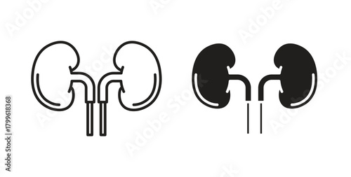 Kidney icon Isolated flat vector in outline collection on white background
