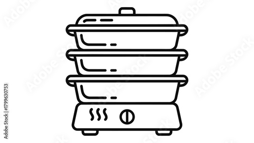 Electric food steamer icon isolated on white background