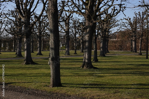 autumn in the park