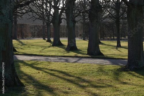 autumn in the park