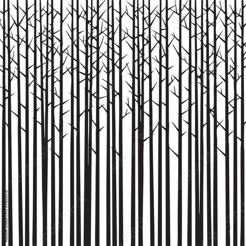 Dense forest silhouette of tall bare trees isolated on transparent background