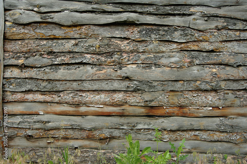 A rustic fence made of pine planks. A beautiful backdrop of horizontal planks with a natural rough texture. Green grass at the bottom of the fence.