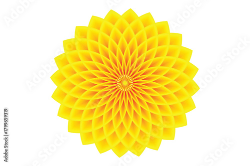 Sunflower with yellow petals isolated on white background, clipping path

