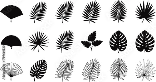 Collection of black and white stylized tropical palm leaves and foliage silhouettes on a white background