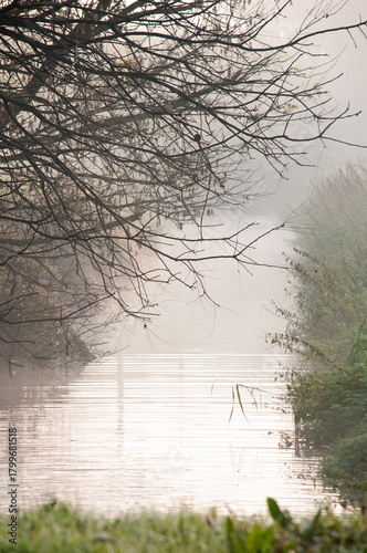 November morning with fog on the river