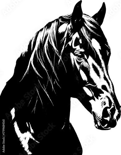A dynamic black silhouette of a horse  exuding grace and strength against a clean white backdrop