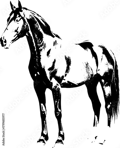 A dynamic black silhouette of a horse  exuding grace and strength against a clean white backdrop