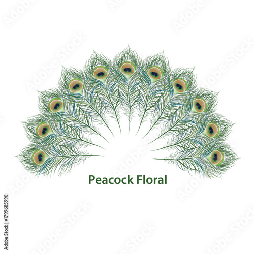 Peacock Floral art.eps