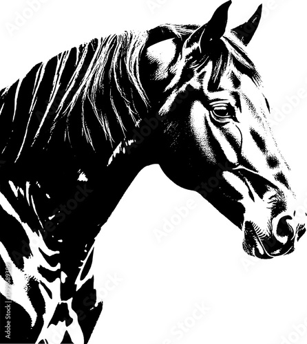 A dynamic black silhouette of a horse  exuding grace and strength against a clean white backdrop