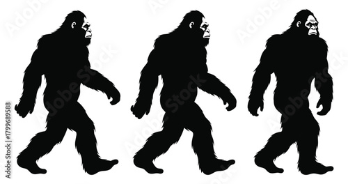 Three black silhouettes of Bigfoot walking from left to right on a white background