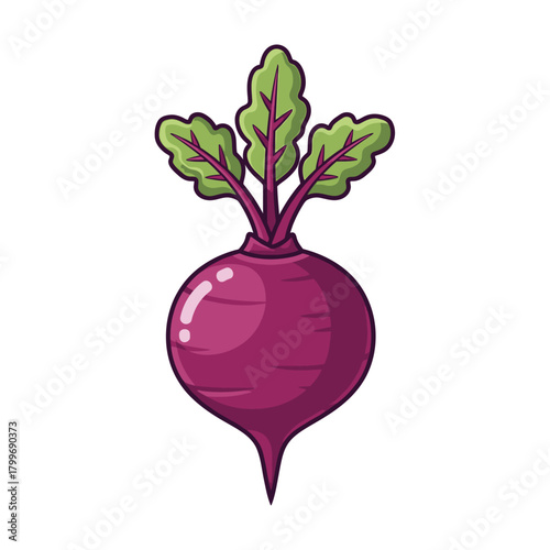 Colorful illustration of a vibrant beet root with fresh green leaves isolated on white background