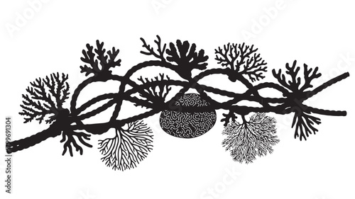 Intriguing nautical design featuring rope and coral elements for stylish ocean themed projects, modern minimalist line art perfect for branding, invitations, and unique website backgrounds