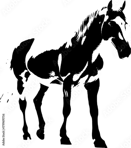 A dynamic black silhouette of a horse  exuding grace and strength against a clean white backdrop