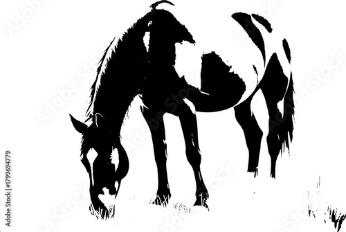 A dynamic black silhouette of a horse  exuding grace and strength against a clean white backdrop