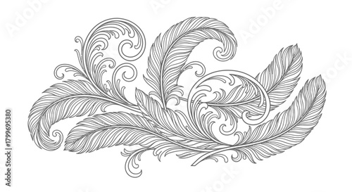 Detailed ornate vintage illustration of feathers and decorative scrollwork in black and white.