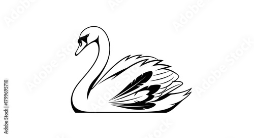 Elegant black and white illustration of a swan, showcasing its graceful form and feathers.