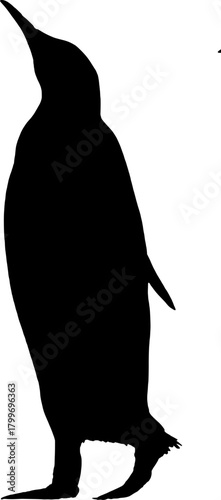 Penguin Silhouette on White Background.