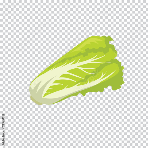 A vibrant fresh and healthy napa cabbage leaf illustration presented in a clear green hue isolated on a transparent background for versatile design applications